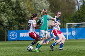 Bild 264 - wBJ Hamburger SV - SV Werder Bremen : Ergebnis : 1:3
